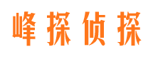 平阴市场调查